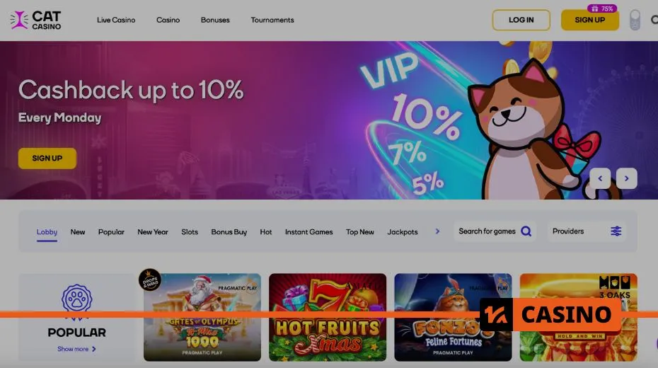 Cat casino official website providing detailed information on bonuses and promotions