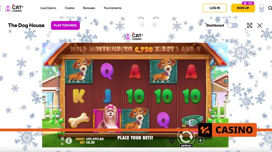 Cat casino промокод бездепозитный бонус предоставляет 100 фриспинов без пополнения счёта