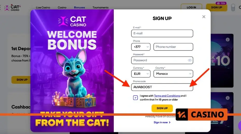 Cat casino promo code registration process to activate promotional rewards