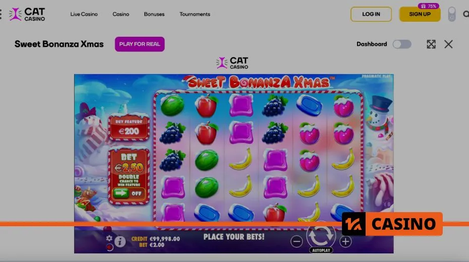 Cat Casino slots available in demo mode for players to practice risk-free